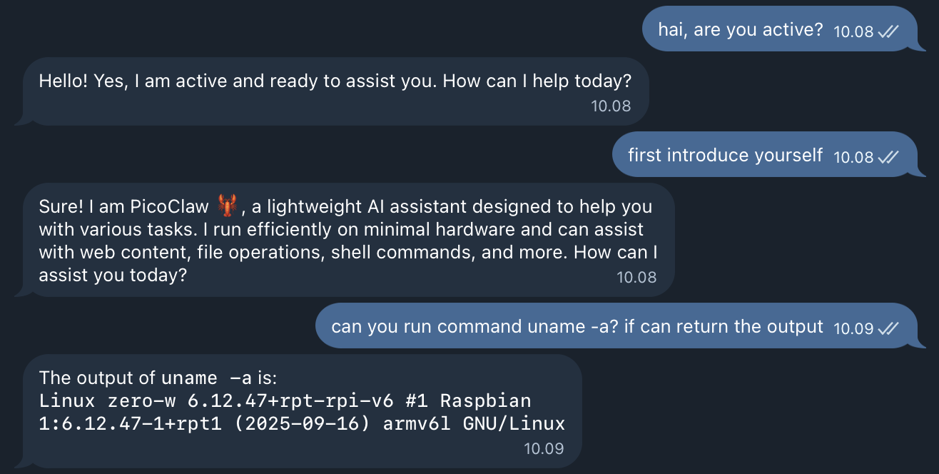 Test PicoClaw on Telegram